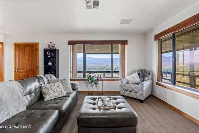 living room with a mountain view, a textured ceiling, and a wealth of natural light