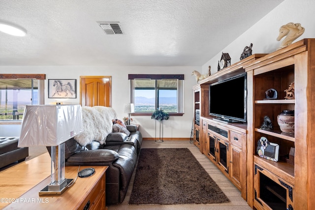 living room featuring a textured ceiling and light hardwood / wood-style flooring