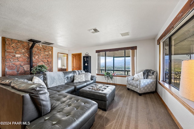 living room with carpet flooring, a wood stove, and a textured ceiling