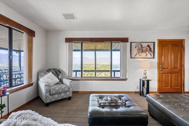 carpeted living room featuring a mountain view and a textured ceiling