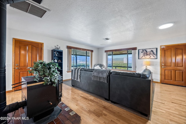 living room featuring a textured ceiling, light hardwood / wood-style floors, and a wood stove