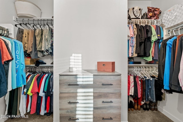 spacious closet featuring carpet floors