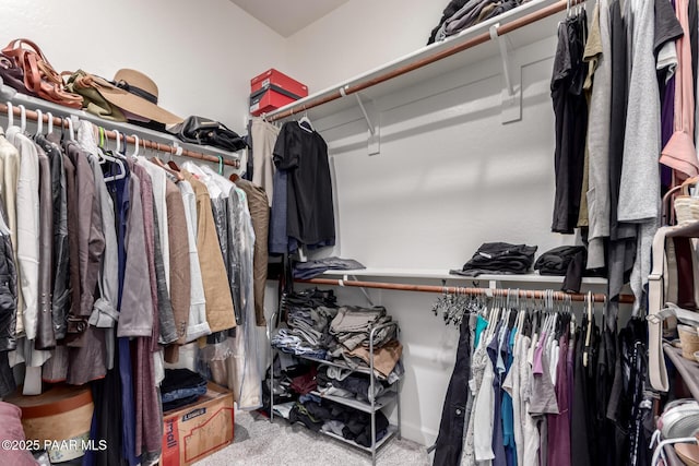 spacious closet with carpet floors