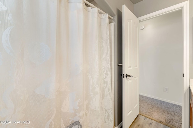 bathroom featuring hardwood / wood-style flooring and vanity