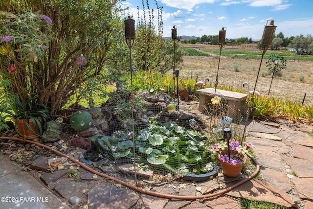 view of yard with a rural view