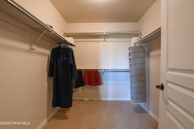 walk in closet with carpet floors