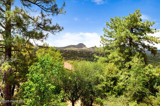 1289 S Manzanita Hill Rd, Prescott, AZ 86303 - photo 45