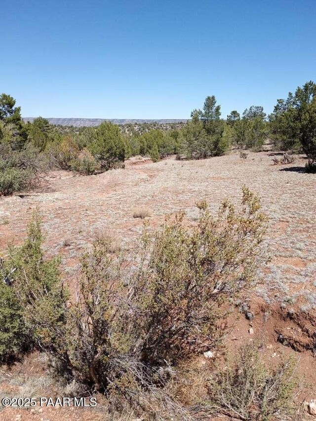 52481 Via De Oro Pkwy, Seligman AZ, 86337 land for sale