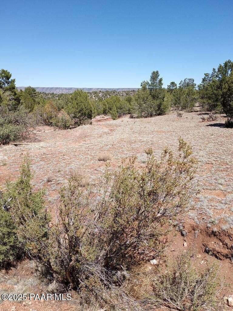 52481 Via De Oro Pkwy, Seligman, AZ 86337 - photo 1