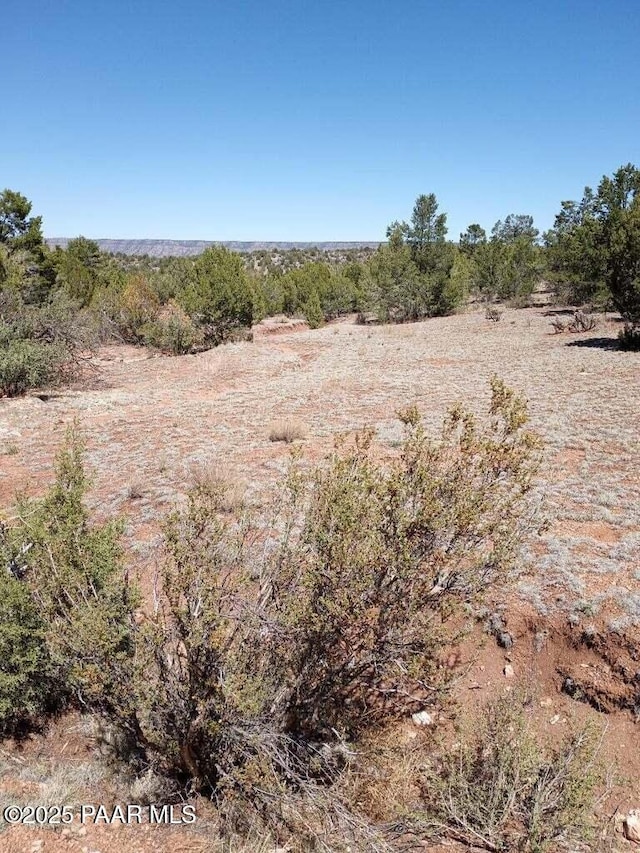 52481 Via De Oro Pkwy, Seligman, AZ 86337 - photo 1