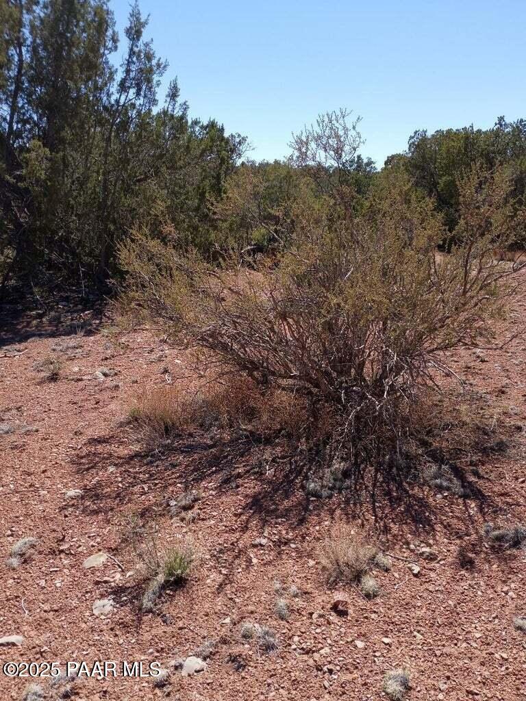 52481 Via De Oro Pkwy, Seligman, AZ 86337 - photo 3