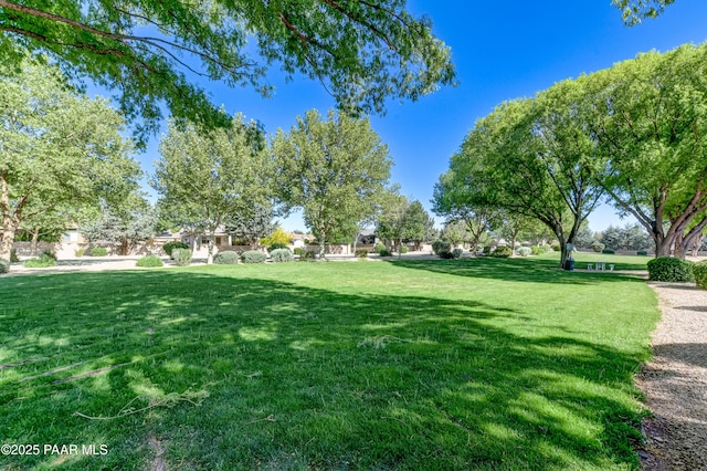 5461 N Bremont Way, Prescott Valley, AZ 86314 - view of grassy yard