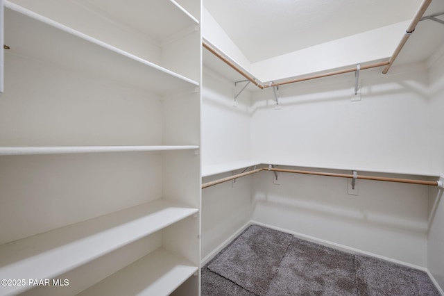 walk in closet featuring carpet flooring