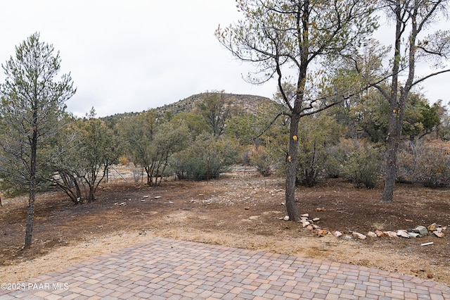 view of yard featuring a forest view and a mountain view