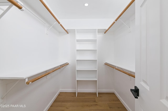 walk in closet featuring wood finished floors