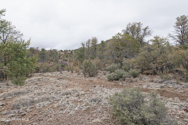 view of local wilderness featuring a view of trees