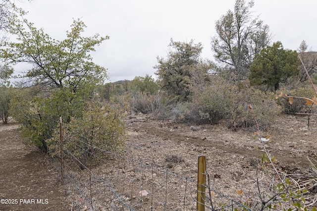 view of local wilderness