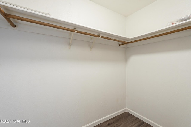 walk in closet with wood finished floors