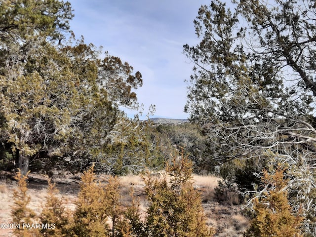 54353 N Shadow Mountain Pkwy, Seligman AZ, 86337 land for sale