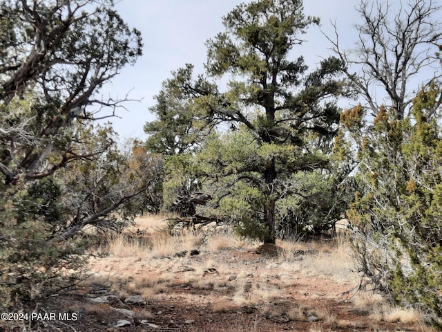 54353 N Shadow Mountain Pkwy, Seligman, AZ 86337 - photo 7