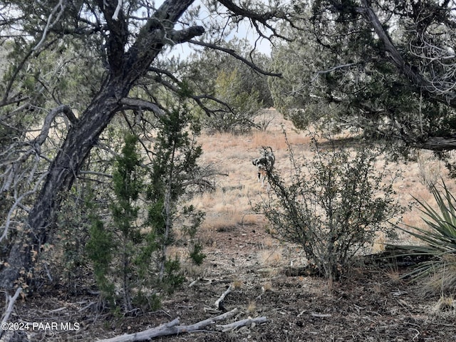 54353 N Shadow Mountain Pkwy, Seligman, AZ 86337 - photo 12