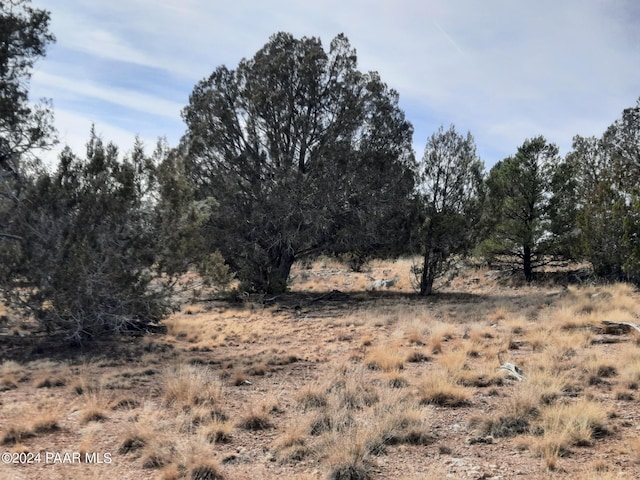 54353 N Shadow Mountain Pkwy, Seligman, AZ 86337 - photo 14