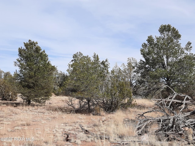 54353 N Shadow Mountain Pkwy, Seligman, AZ 86337 - photo 15