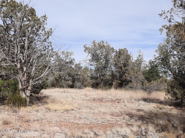 54353 N Shadow Mountain Pkwy, Seligman, AZ 86337 - photo 6