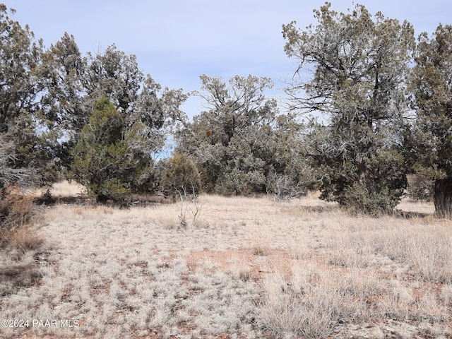54353 N Shadow Mountain Pkwy, Seligman, AZ 86337 - photo 8
