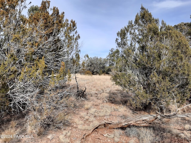 54353 N Shadow Mountain Pkwy, Seligman, AZ 86337 - photo 2
