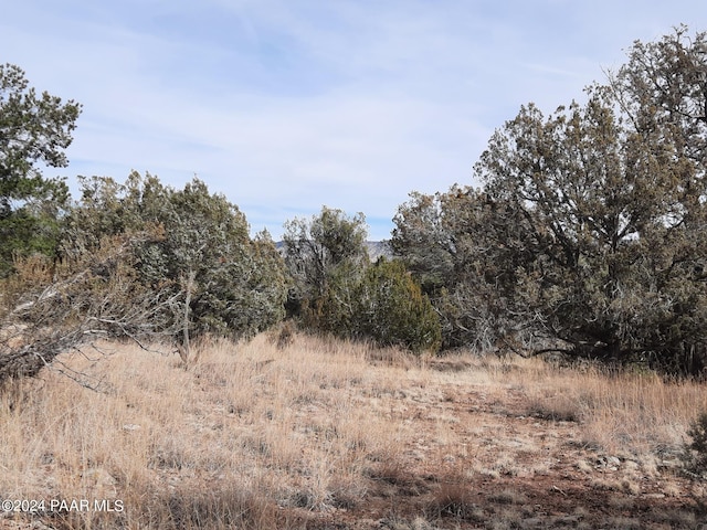 54353 N Shadow Mountain Pkwy, Seligman, AZ 86337 - photo 9