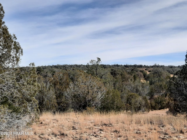 54353 N Shadow Mountain Pkwy, Seligman, AZ 86337 - photo 5