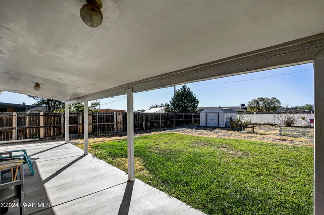 view of yard with a patio and a storage shed