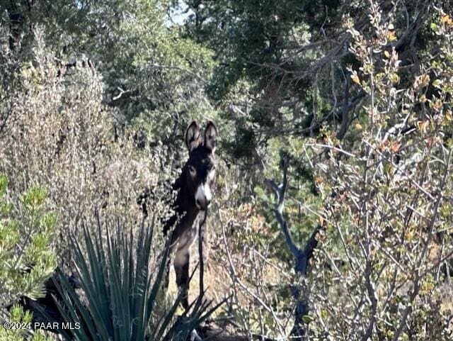 1416 SE N Sundance Way, Seligman AZ, 86337 land for sale