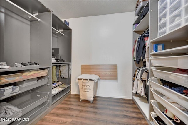 10429 W Crown King Rd, Tolleson, AZ 85353 - spacious closet with wood finished floors