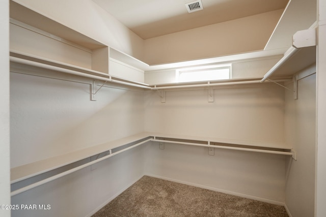 walk in closet with carpet floors