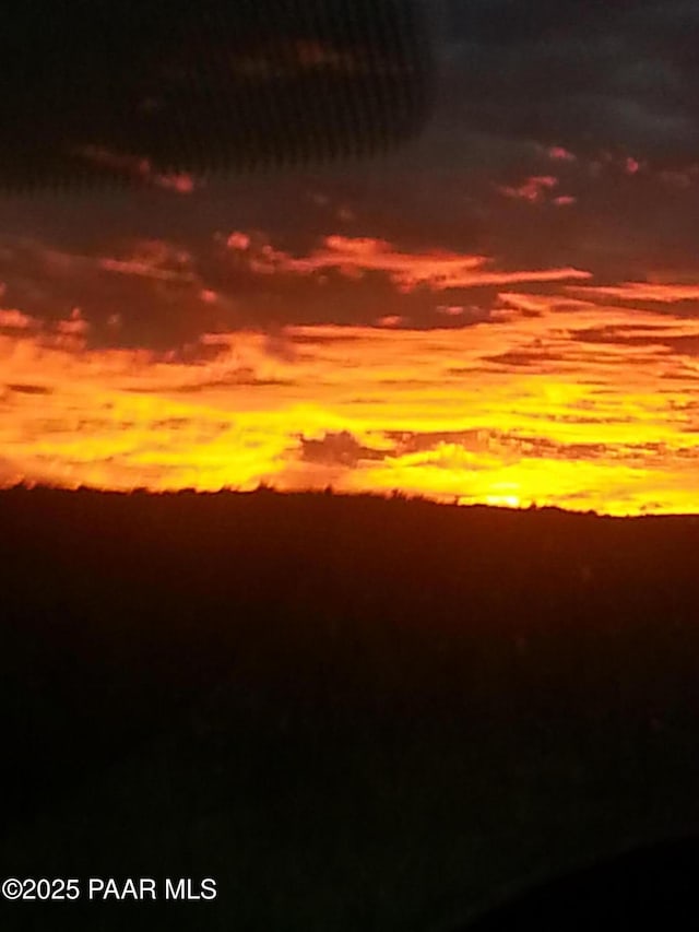 view of nature at dusk