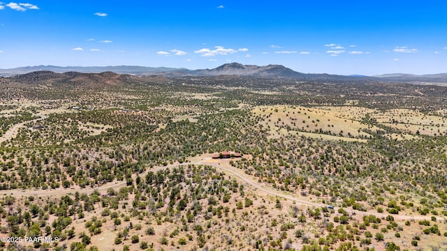 18900 N Butte Pass Rd, Prescott, AZ 86305 - drone / aerial view of mountains