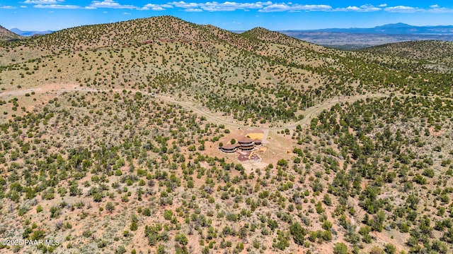 18900 N Butte Pass Rd, Prescott, AZ 86305 - view of mountain backdrop