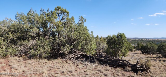 1436 Foothill Rd, Williams, AZ 86046 - photo 7