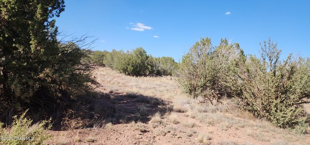1436 Foothill Rd, Williams, AZ 86046 - photo 11