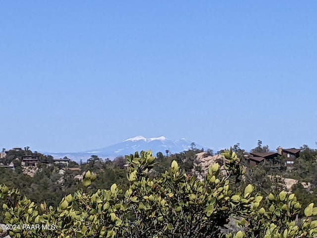 1466 Sierry Springs Dr, Prescott, AZ 86305 - photo 4