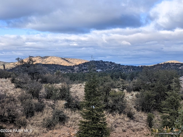 1466 Sierry Springs Dr, Prescott, AZ 86305 - photo 2