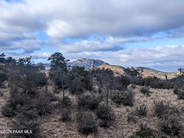 1466 Sierry Springs Dr, Prescott, AZ 86305 - photo 3