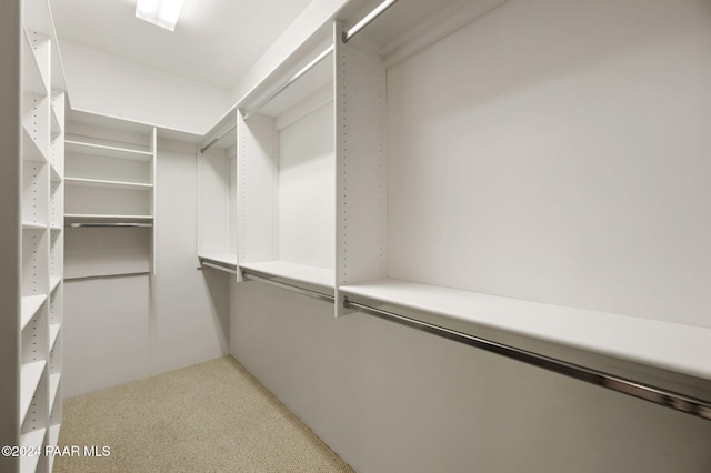 spacious closet featuring carpet floors