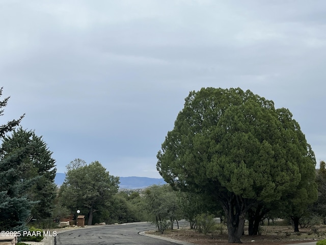 118 N Murphy Way, Prescott, AZ 86303 - photo 6