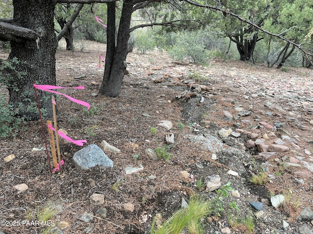 118 N Murphy Way, Prescott, AZ 86303 - photo 11