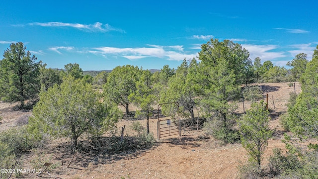 12250A N Puntenney Rd, Prescott, AZ 86305 - photo 16