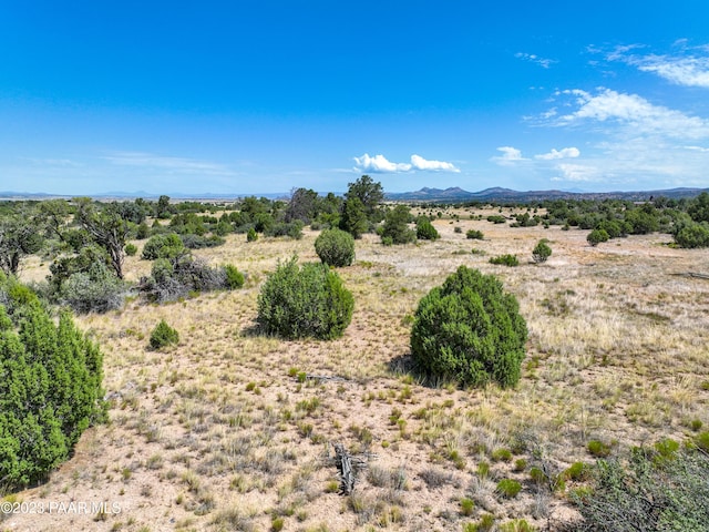 12250A N Puntenney Rd, Prescott, AZ 86305 - photo 13