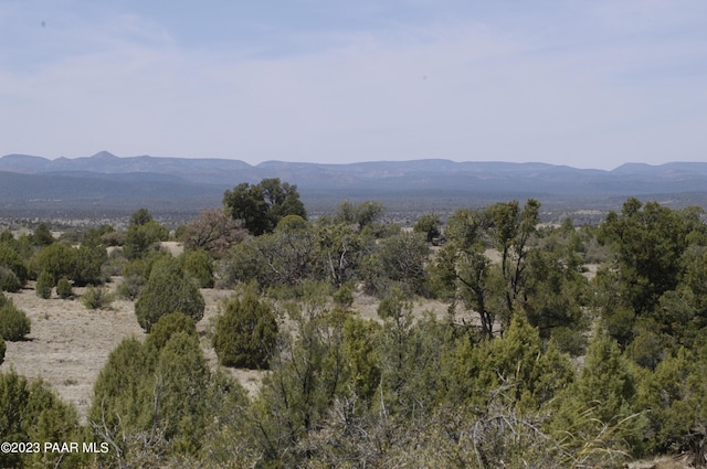 12250A N Puntenney Rd, Prescott, AZ 86305 - photo 22
